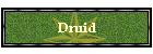 Druid