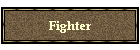 Fighter