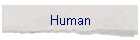 Human